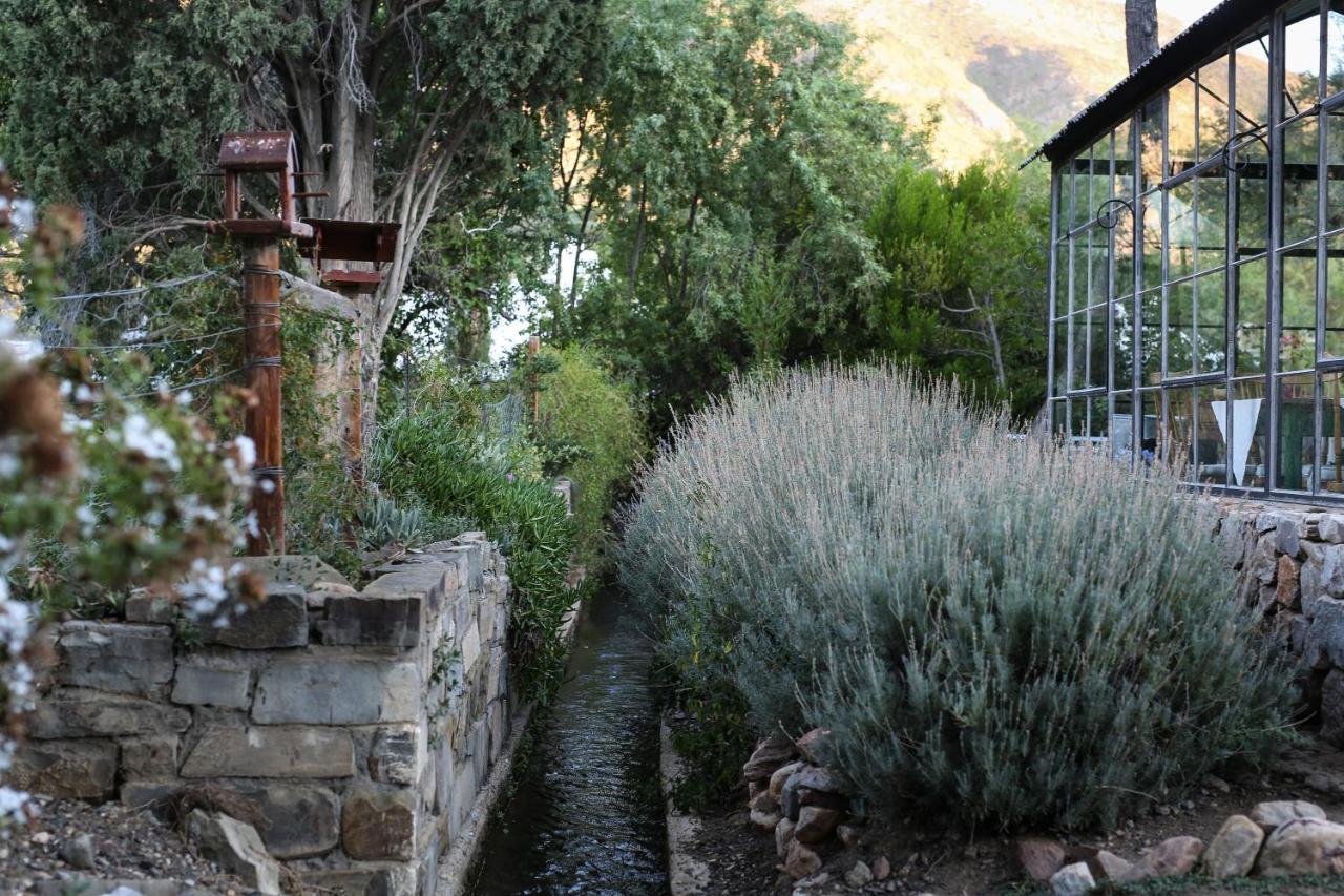 Dennehof Karoo Guesthouse Prince Albert Exterior foto